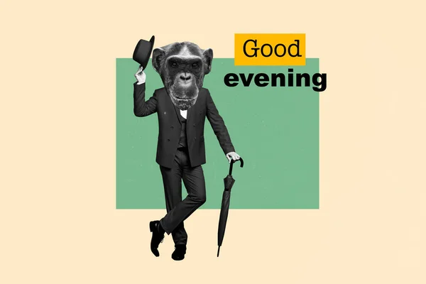 Креативный Соблазнительный Графический Коллаж Изображением Дружелюбного Парня Головой Шимпанзе Желающего — стоковое фото