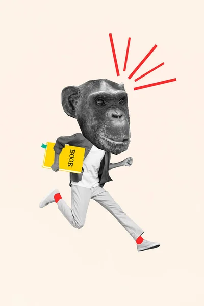무관심 침팬지의 머리를 작품의 콜라주 Colorge — 스톡 사진