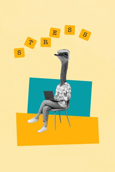 Collage Artwork Beak Head Lady Hawing Stress Important Work Modern — Stock Photo, Image