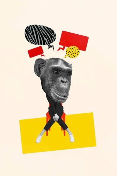 Abstract Template Collage Image Shy Funny Chimp Head Lady Having — Stock Photo, Image