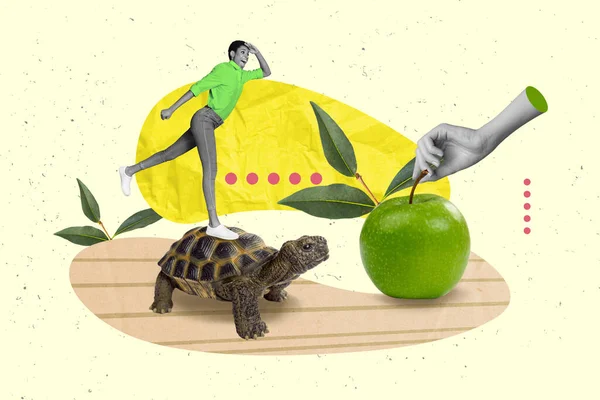 거북을 다니는 환경을 탐험하는 소녀의 콜라주는 노란색 배경에 고립된 사과를 — 스톡 사진