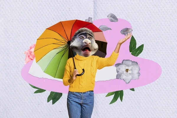 Creative collage picture of girl monkey head hold umbrella arm catch flying flower petals isolated on drawing paper background.