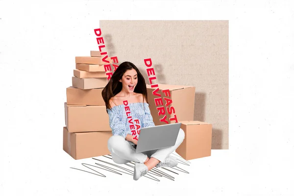 Heyecanlı Bayanın Afiş Kolajı Çevrimiçi Dükkan Müşterisi Hızlı Teslimat Siparişi — Stok fotoğraf