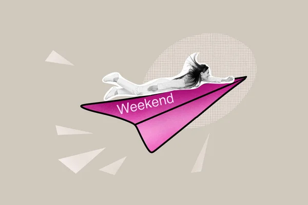 Colagem Imagem Mínima Animado Engraçado Senhora Voando Avião Papel Atender — Fotografia de Stock