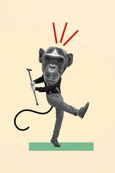 창조적 그래픽 콜라주 무관심 원숭이 춤추는 막대기외진 베이지 — 스톡 사진