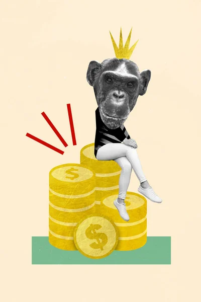 Collage Kunstwerk Grafiken Bild Von Coolen Selbstbewussten Schimpansen Sitzen Große — Stockfoto