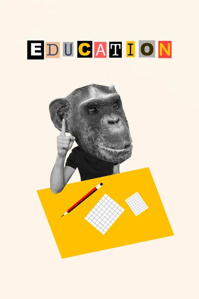 卡通漫画素描 聪明聪明的猴子头学生开始接受教育的拼贴图片 孤立的白色背景 — 图库照片