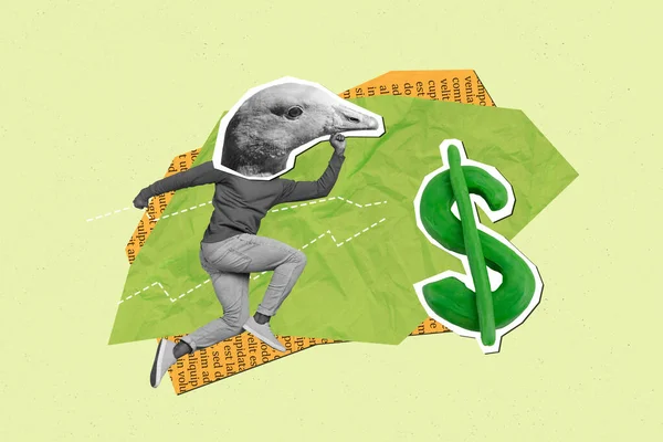 Blog Fényképezés Collage Picture Funky Duck Head Guy Running Earning — Stock Fotó