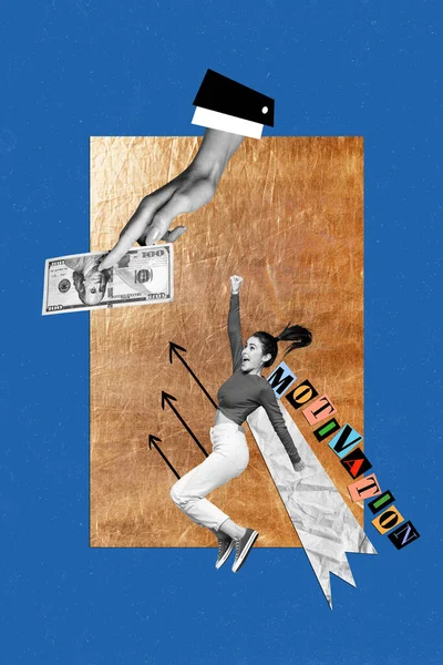 Kreative Vorlage Collage Bild Von Motivierten Dame Versuchen Mehr Geld — Stockfoto
