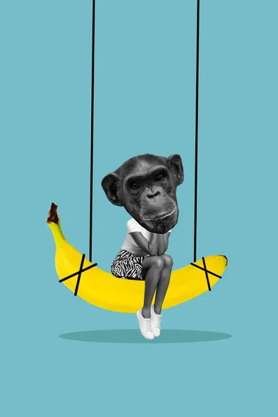 Vertical Composite Collage Illustration Funny Surreal Monkey Primate Hanging Swing — Stock Photo, Image