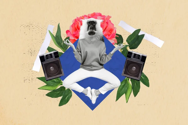 Siyah Beyaz Efekt Kız Maymun Kafasının Kolaj Resmi Müzik Hoparlörleri — Stok fotoğraf