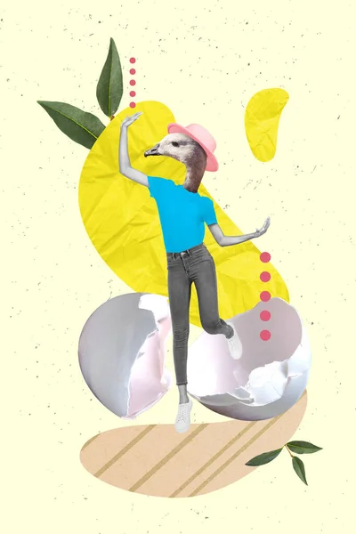 Vertikale Collage Promo Bild Von Kopf Tier Vogel Möwe Tanzen — Stockfoto