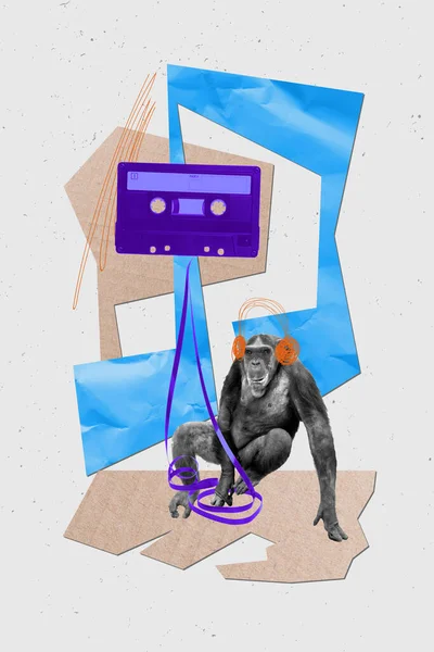 Collage Image Pinup Pop Retro Sketch Monkey Chimpanzee Animal Zoo — Stock Photo, Image