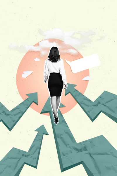 Poster Beeld Collage Beeld Van Succesvolle Zelfverzekerde Vrouw Vooruit Gaan — Stockfoto