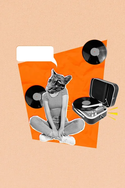 Konstverk Collage Bild Drömmande Katt Huvud Dam Lista Vinyl Ljud — Stockfoto