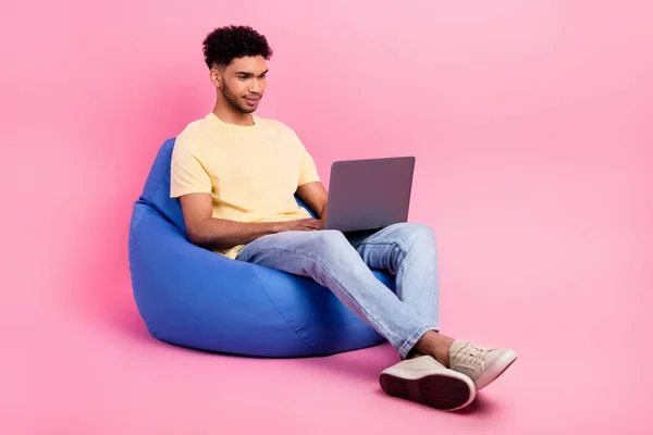 분홍색 배경에 고립된 노트북 프로그램 사용하여 사무실에 남성의 — 스톡 사진