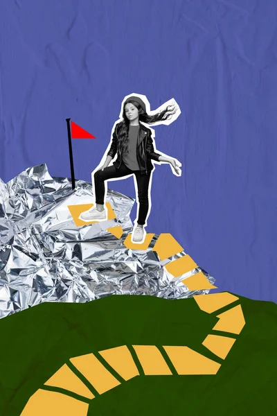 Вертикальный Коллаж Мини Черный Белый Эффект Девушка Подняться Вершину Горы — стоковое фото