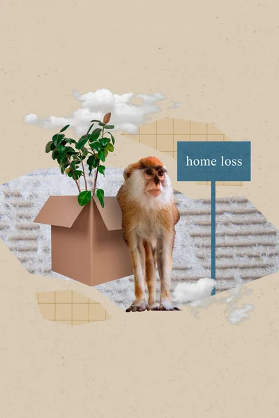 Creative Graphics Collage Image Stressed Depressed Chimp Lost Home Because — Stock Photo, Image