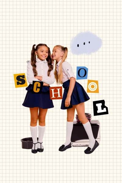 Κάθετη Εικόνα Κολάζ Από Δύο Funky Θετικά Κορίτσια Σχολείο Μιλούν — Φωτογραφία Αρχείου