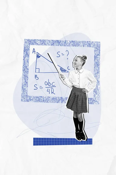 Vertikální Ilustrace Koláž Chytré Dívky Školní Ukazatel Ukazující Geometrie Řešení — Stock fotografie