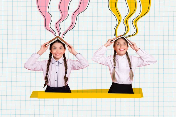Δημιουργικό Κολάζ Δύο Έξυπνων Funky Κοριτσιών Κρατούν Κεφάλι Βιβλίων Απορροφούν — Φωτογραφία Αρχείου