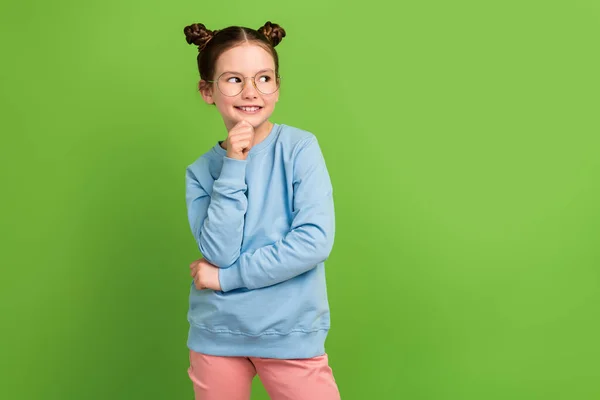Porträt Eines Kleinen Mädchens Mit Braunen Haaren Tragen Blaues Sweatshirt — Stockfoto