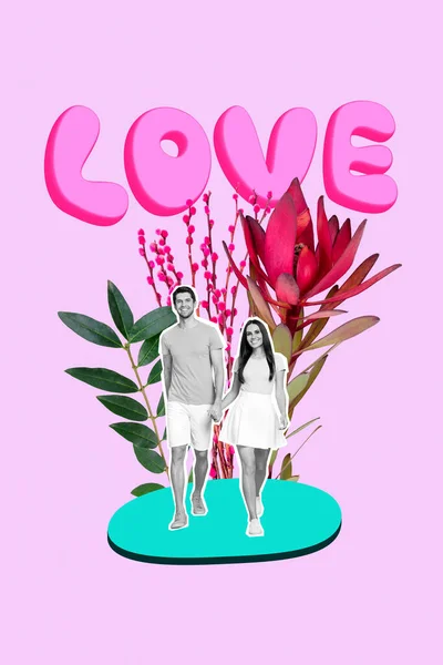 两只黑色小白种人手挽着大大的花朵 在粉色的背景上彼此拥抱 形成了一幅垂直的拼贴图 — 图库照片