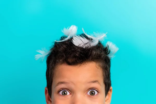 Close up cropped photo of funny schoolboy hide face eyes watch feathers head isolated on teal color background.