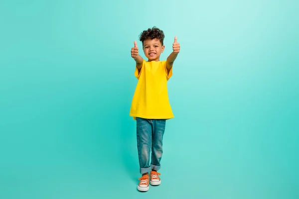楽観的な面白い学校のボーイのフルサイズの写真は ターコイズ色の背景に隔離された親指を示す黄色のTシャツを着て — ストック写真