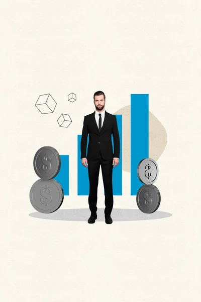 Imagen Collage Creativo Vertical Joven Empresario Banquero Financiero Economista Abundancia — Foto de Stock