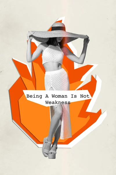 Verticale Creatieve Collage Beeld Van Mooie Prachtige Vrouwelijke Rok Hoed — Stockfoto