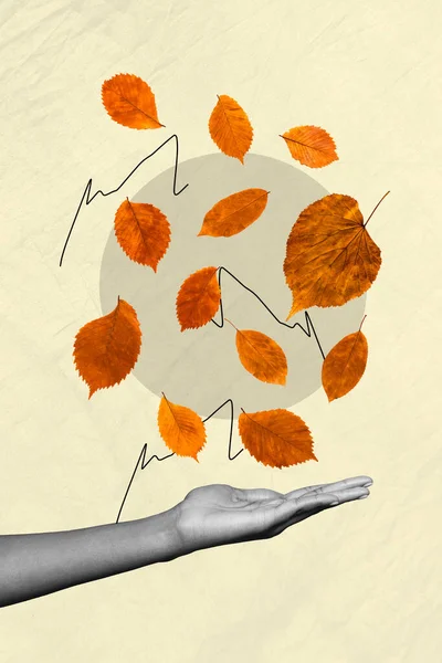 Creative Koncept Umělecké Koláže Obrázek Grafiky Podzim Zlatý Pomerančový Javor — Stock fotografie