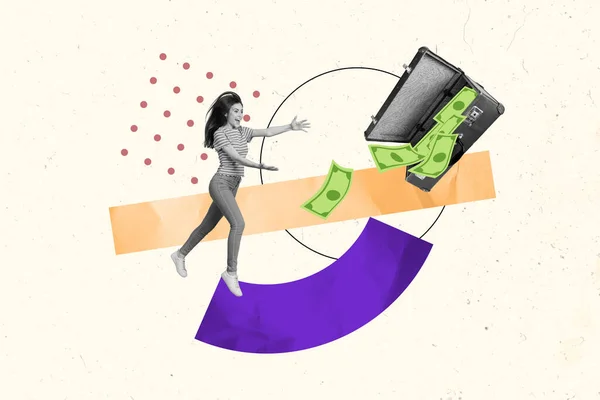 3d retro abstract creative artwork template collage of excited young female running achieve money catch dollar banknotes valise suitcase.