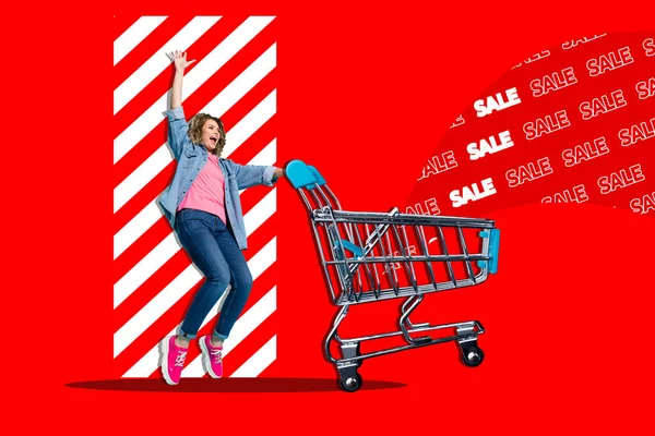 Artwork Collage Overjoyed Girl Push Market Trolley Special Limited Sale — Stock Photo, Image
