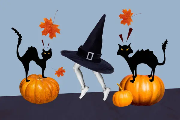 Kreatywny Kolaż Obraz Czarnych Kotów Stanąć Dynia Latający Klon Liście — Zdjęcie stockowe