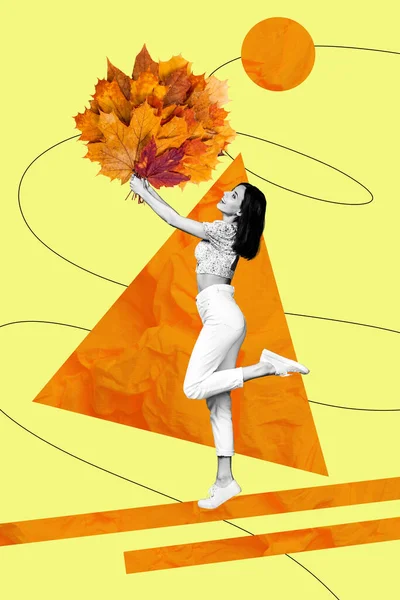 Collage Ilustración Funky Joven Dama Recoger Dorado Seco Arce Hojas —  Fotos de Stock