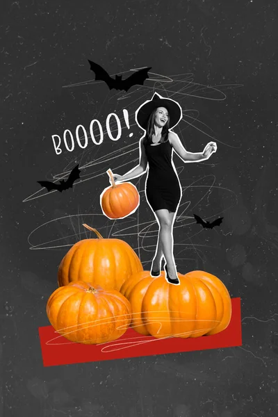 Collage Ilustraciones Gráficas Funky Sexy Dama Con Preparación Decoraciones Halloween — Foto de Stock