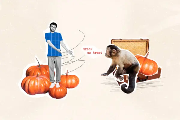 Creativo Modello Grafica Collage Immagine Ragazzo Perplesso Trovare Scimmia Halloween — Foto Stock