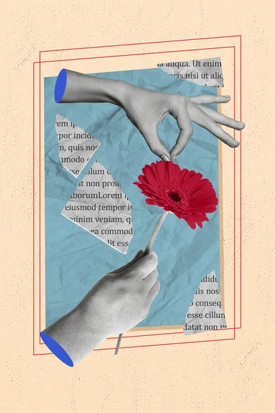 Pocztówka Collage Zdjęcie Koncepcja Ramiona Pick Płatki Zgadywanie Facet Miłość — Zdjęcie stockowe