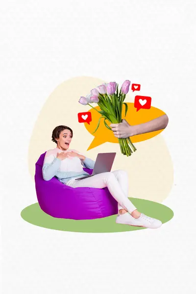 Collage 3d image of pinup pop retro sketch of excited happy young girlfriend sit bean bag online present delivery flowers bizarre unusual.