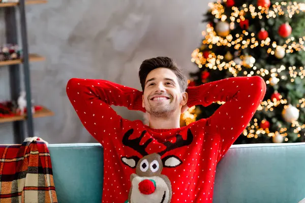 크리스마스 스웨터 장식된 초상화 — 스톡 사진
