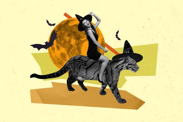 Creative Template Collage Image Excited Witch Lady Riding Tiger Halloween — Stock Photo, Image