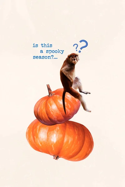 Colagem Pinup Pop Retro Sketch Imagem Macaco Questionado Pedindo Halloween — Fotografia de Stock