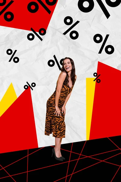 Creative abstract graphics collage image of cheerful positive lady enjoying black friday sale isolated colorful background.