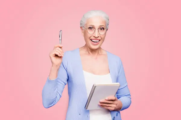Good Idea Gray Haired Old Cheerful Happy Smiling Business Woman — Stock Photo, Image