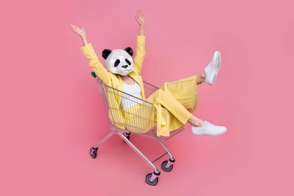Full Size Portrait Excited Funky Panda Mask Girl Sit Market — Stock Photo, Image
