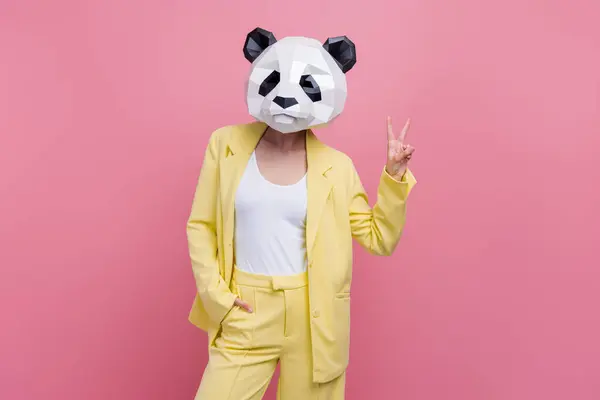 Müthiş Zarif Kişinin Portresi Panda Baş Maskesi Pembe Arka Planda — Stok fotoğraf