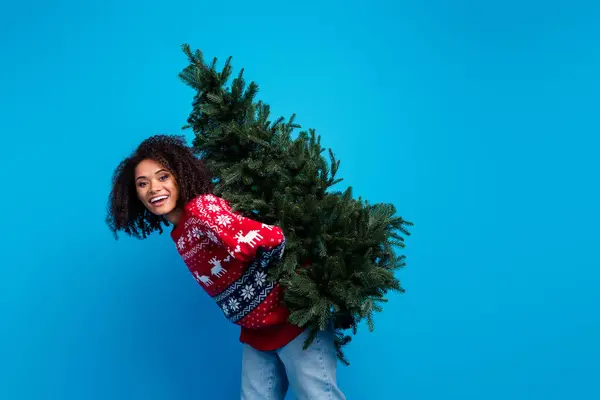 ポジティブな興奮した女の子の写真は 青色の背景に隔離されたお祝いのイベントの機会のための大きなクリスマスツリーを運ぶ — ストック写真