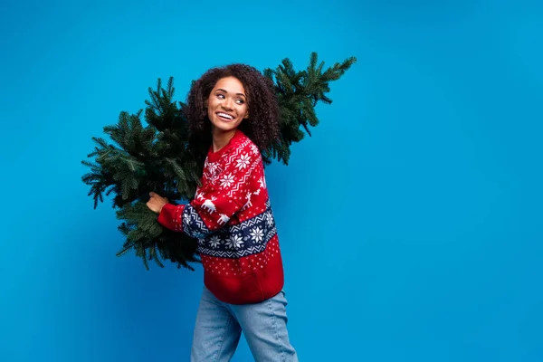 Φωτογραφία Από Ελκυστική Θετική Κορίτσι Κρατήσει Χριστουγεννιάτικο Δέντρο Παραδώσει Για — Φωτογραφία Αρχείου