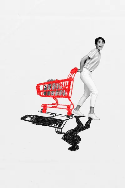 Vertical Full Body Collage Picture Young Woman Drag Supermarket Cart — Fotografia de Stock